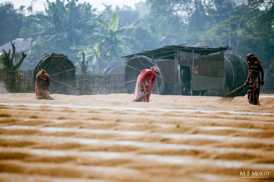 ঠাকুরগাঁও