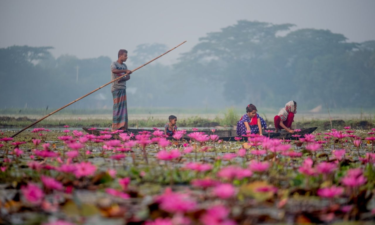 শাপলা গ্রাম, সাতলা